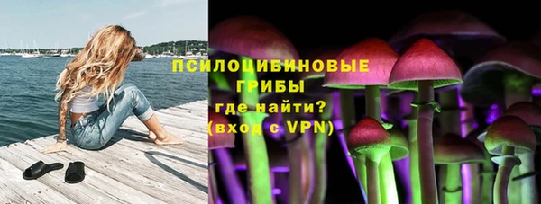 дмт Гусиноозёрск