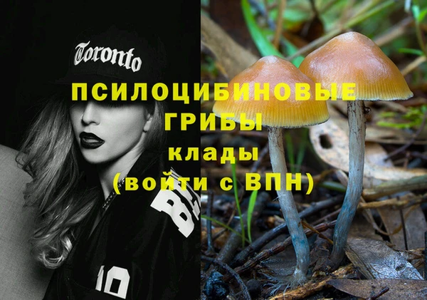 дмт Гусиноозёрск