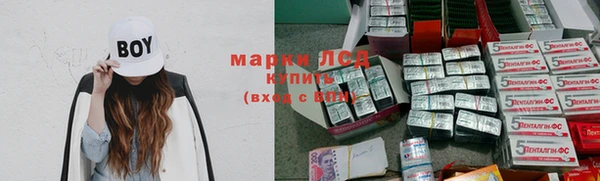 хмурый Гусев
