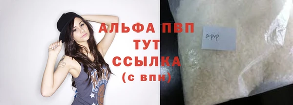 хмурый Гусев