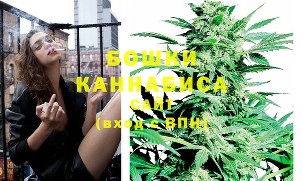 хмурый Гусев