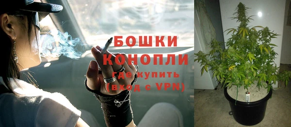 хмурый Гусев