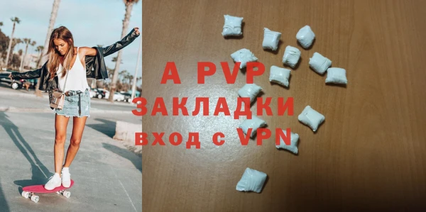 хмурый Гусев
